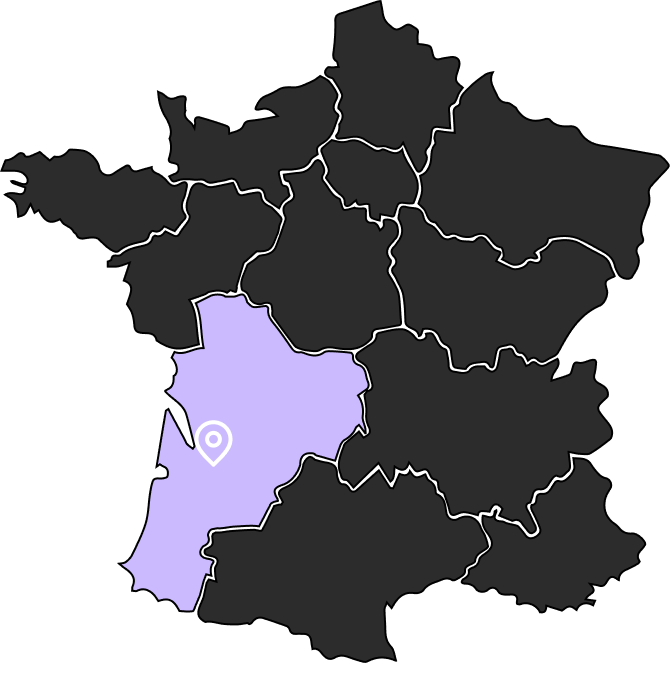 Bordeaux, Nouvelle-Aquitaine region