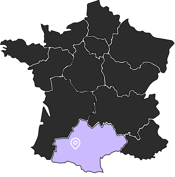 Toulouse, Occitanie region