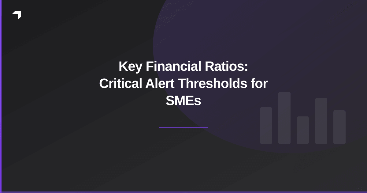 Key Financial Ratios: Critical Alert Thresholds for SMEs
