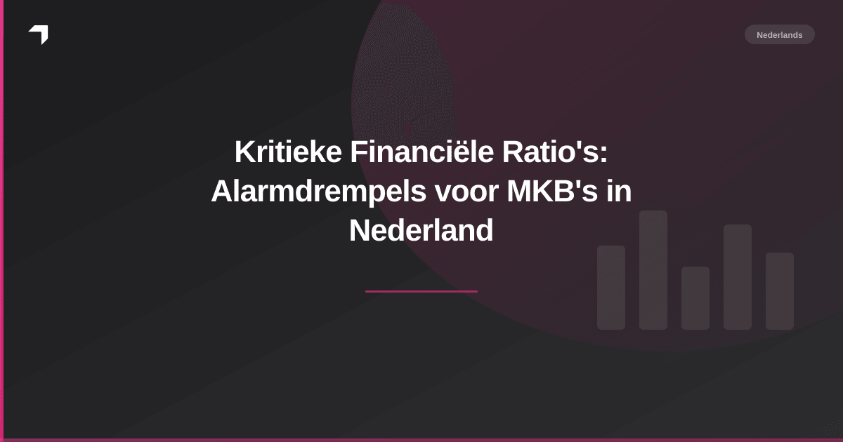 Kritieke Financiële Ratio's: Alarmdrempels voor MKB's in Nederland