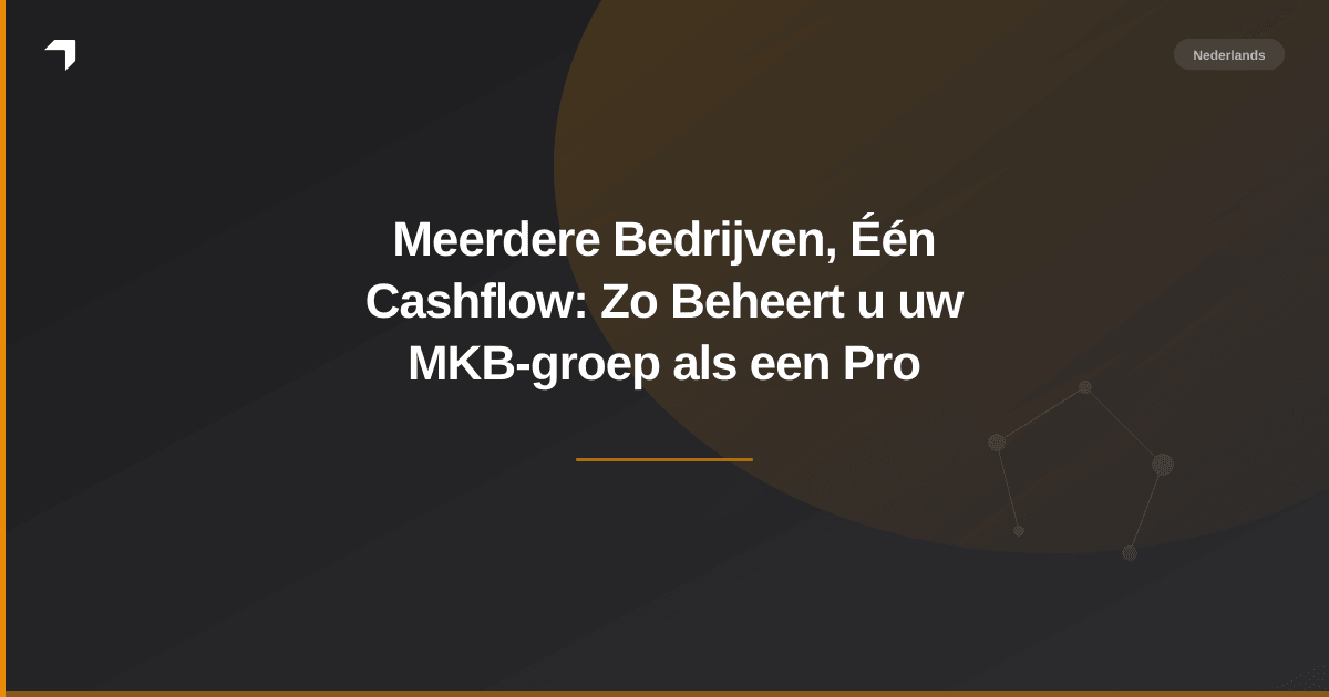 Meerdere Bedrijven, Één Cashflow: Zo Beheert u uw MKB-groep als een Pro