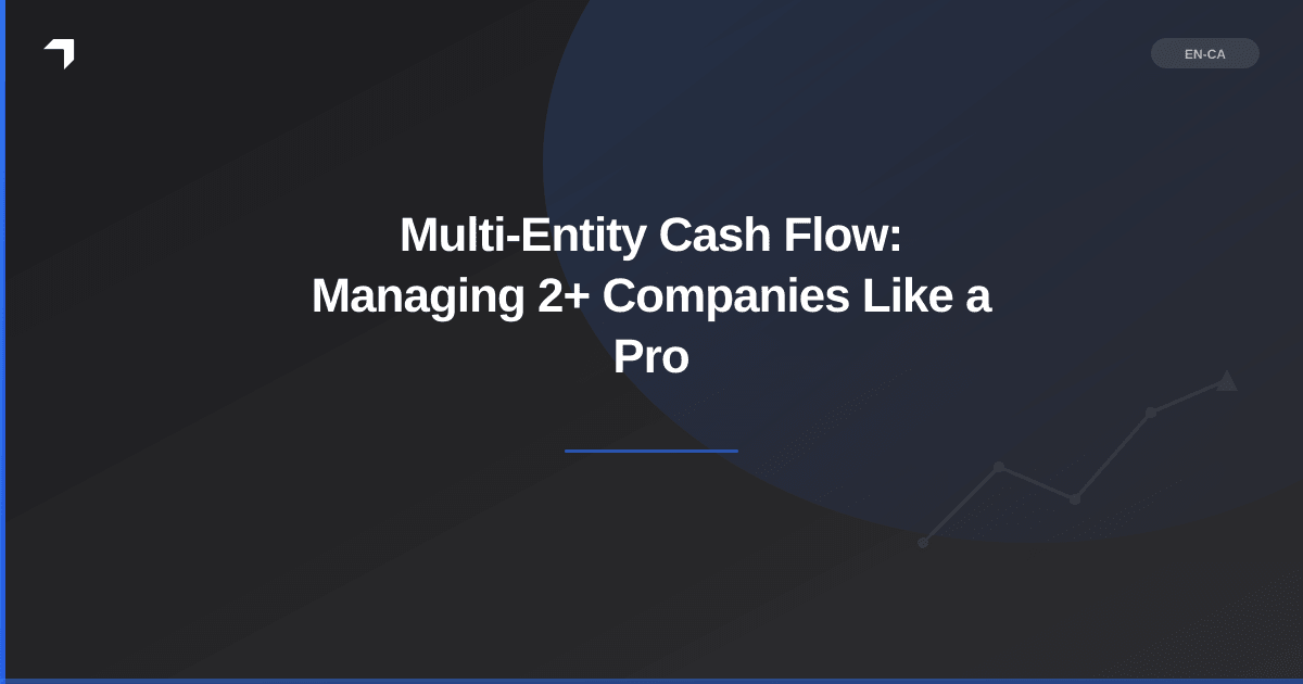 Multi-Entity Cash Flow: Managing 2+ Companies Like a Pro