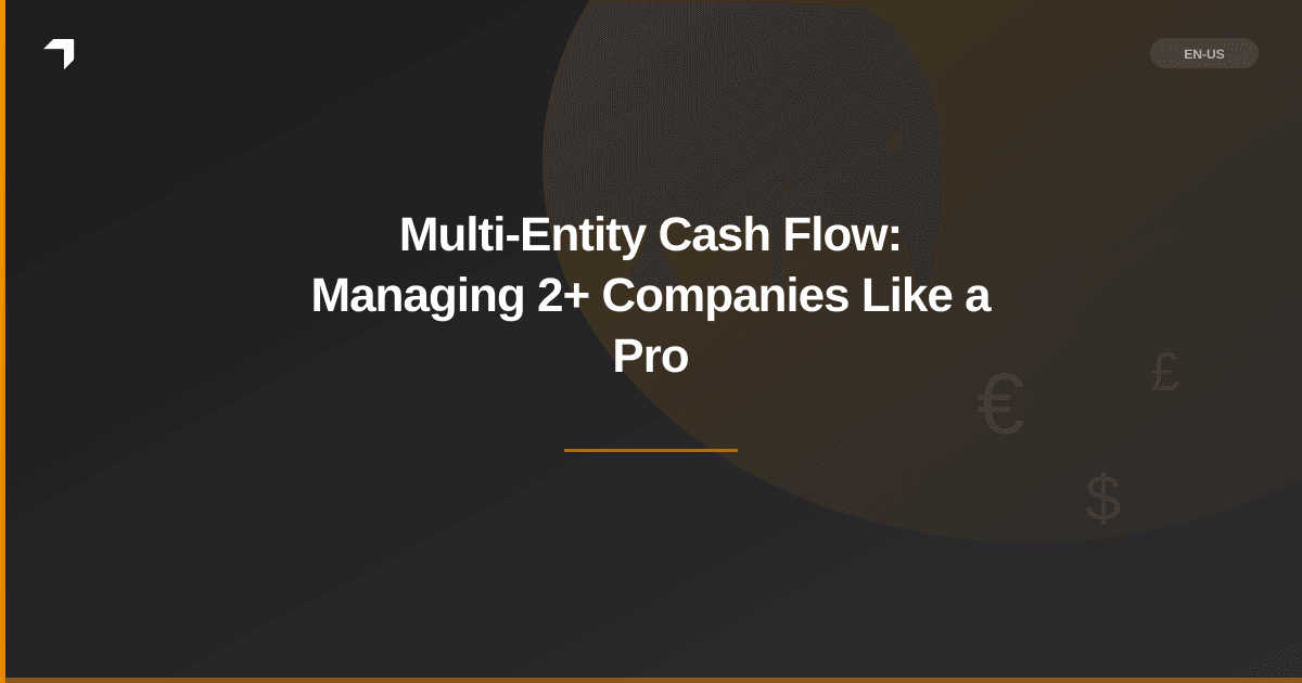 Multi-Entity Cash Flow: Managing 2+ Companies Like a Pro
