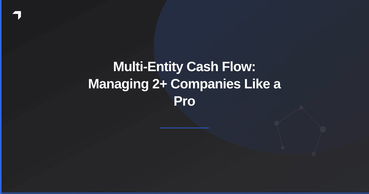 Multi-Entity Cash Flow: Managing 2+ Companies Like a Pro