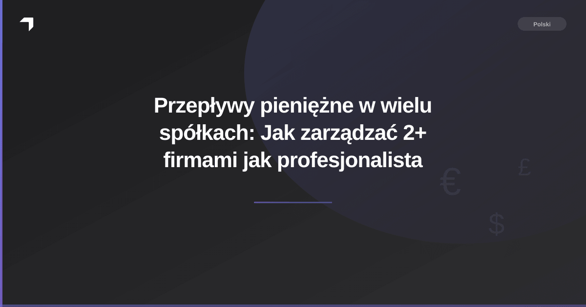 Przepływy pieniężne w wielu spółkach: Jak zarządzać 2+ firmami jak profesjonalista
